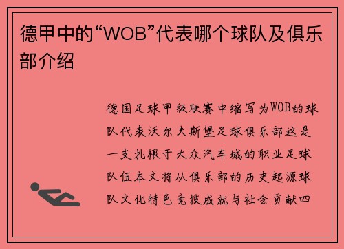 德甲中的“WOB”代表哪个球队及俱乐部介绍